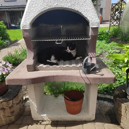 Goscinne Moli * Łeba