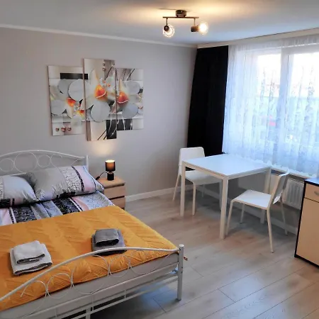Homestay Goscinne Moli Leba