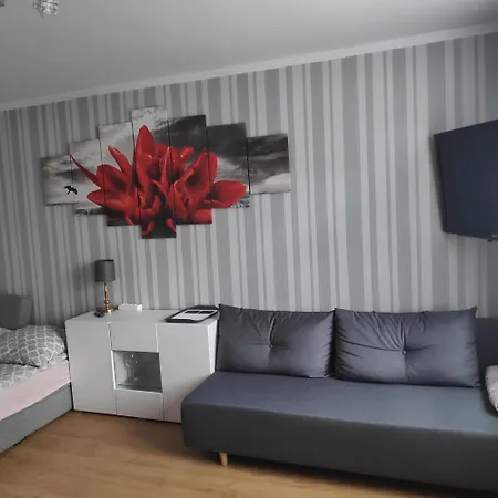 Проживание в семье Goscinne Moli *