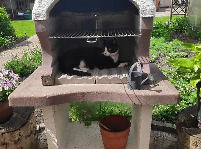 Goscinne Moli * Łeba